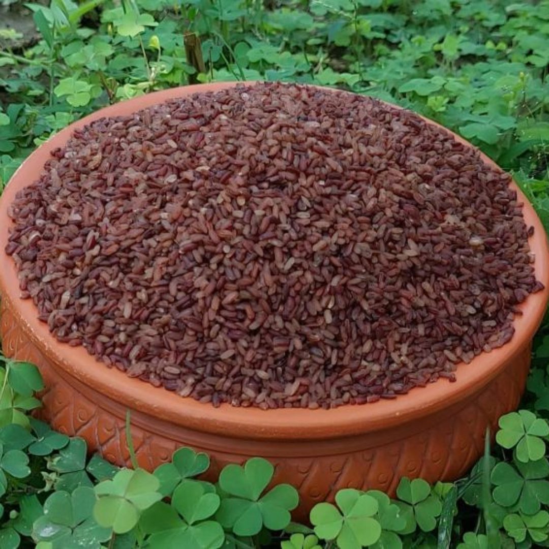Br-Rice-1-600x565.jpeg